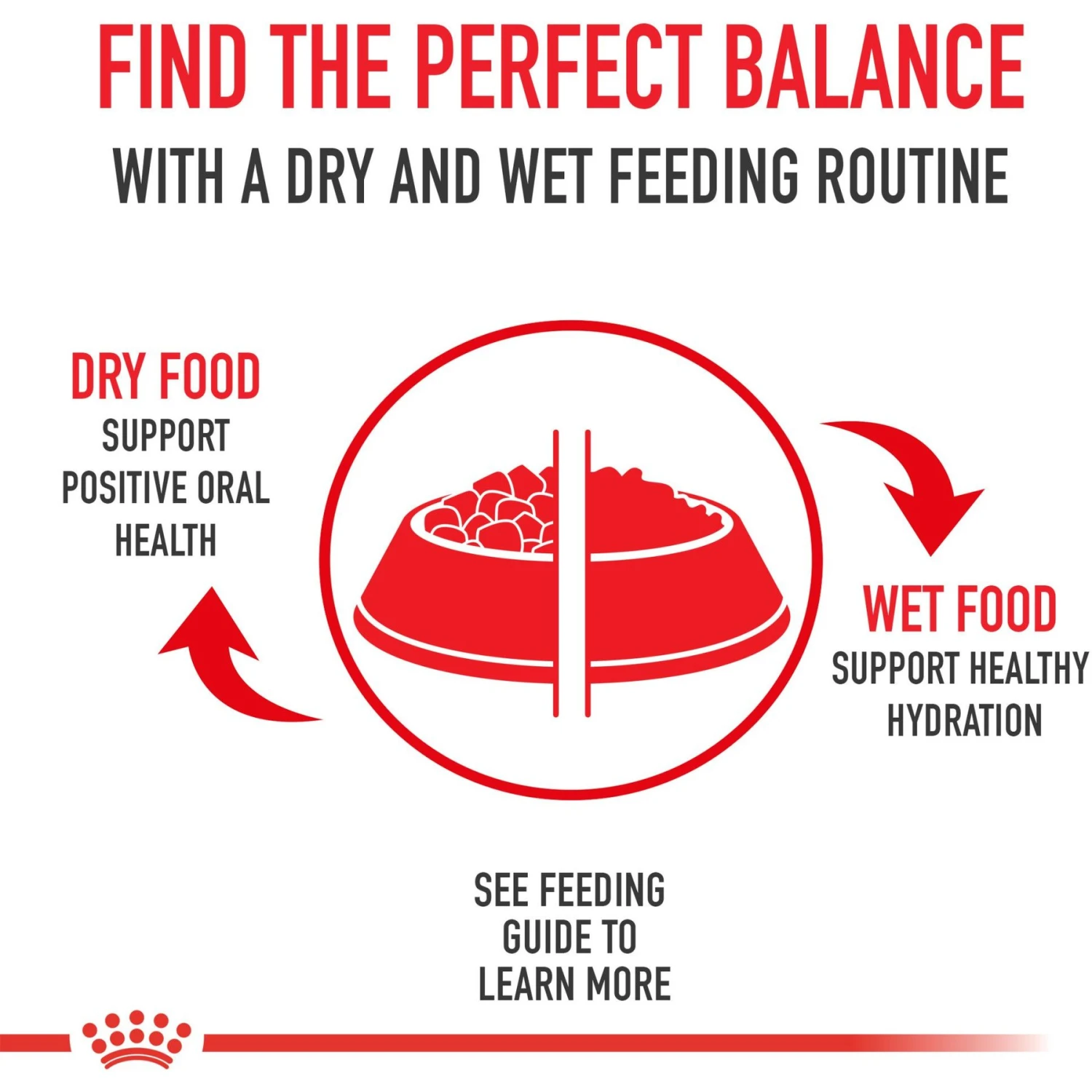 Royal Canin Breed Health Nutrition Boxer Adult Dry Dog Food 6 Royal Canin Breed Health Nutrition Boxer Adult Dry Dog Food - Image 6