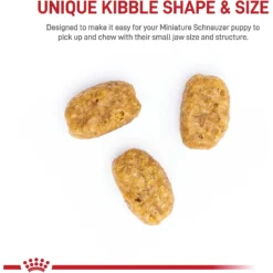 Royal Canin Breed Health Nutrition Miniature Schnauzer Puppy Dry Dog Food -Pawsphoria Sales Store 75439 PT3. AC SS1800 V1697216117