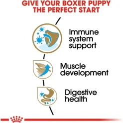 Royal Canin Breed Health Nutrition Boxer Puppy Dry Dog Food -Pawsphoria Sales Store 75450 PT4. AC SS1800 V1697216724