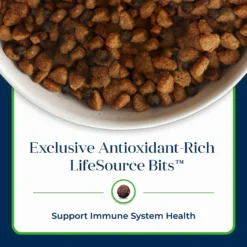 Blue Buffalo Basics Skin & Stomach Care Grain-Free Formula Lamb & Potato Recipe Adult Dry Dog Food -Pawsphoria Sales Store 75659 PT6. AC SS1800 V1646274392