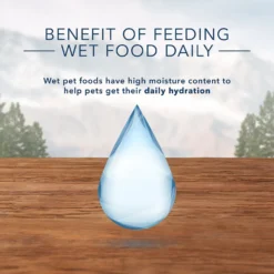 Blue Buffalo Wilderness Healthy Weight Turkey & Chicken Grill Grain-Free Adult Canned Dog Food -Pawsphoria Sales Store 75743 PT6. AC SS1800 V1646788658