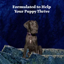 Blue Buffalo Wilderness Turkey & Chicken Grill Grain-Free Puppy Canned Dog Food -Pawsphoria Sales Store 75750 PT3. AC SS1800 V1646788894