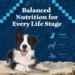 Blue Buffalo Wilderness Turkey & Chicken Grill Grain-Free Puppy Canned Dog Food -Pawsphoria Sales Store 75750 PT7. AC SS1800 V1646790084