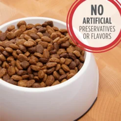 Iams Proactive Health MiniChunks Small Kibble Adult Chicken & Whole Grain Dry Dog Food & Iams Proactive Health Minichunks Small Kibble With Lamb & Rice Adult Dry Dog Food -Pawsphoria Sales Store 761526 PT8. AC SS1800 V1674594819