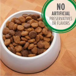 Iams Proactive Health MiniChunks Small Kibble Adult Chicken & Whole Grain Dry Dog Food & Iams Proactive Health Large Breed With Real Chicken Adult Dry Dog Food -Pawsphoria Sales Store 761534 PT8. AC SS1800 V1674599348