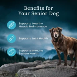 Blue Buffalo Blue Wilderness Premier Blend With Meaty Cuts Chicken Senior Dry Dog Food 15 Blue Buffalo Blue Wilderness Premier Blend With Meaty Cuts Chicken Senior Dry Dog Food -Pawsphoria Sales Store 761758 PT6. AC SS1800 V1680630716