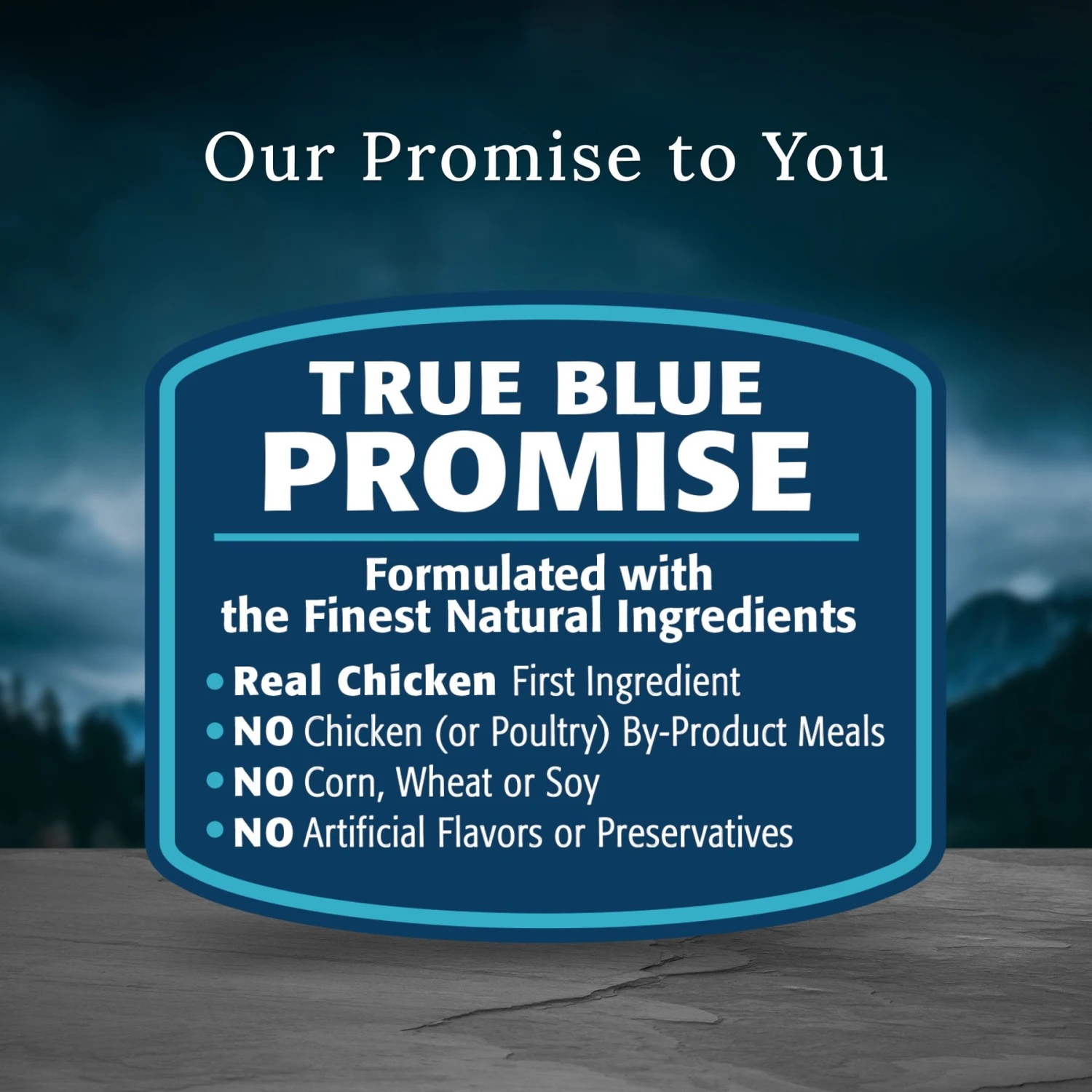 Blue Buffalo Blue Wilderness Premier Blend With Meaty Cuts Chicken Senior Dry Dog Food 8 Blue Buffalo Blue Wilderness Premier Blend With Meaty Cuts Chicken Senior Dry Dog Food - Image 8