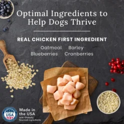 Blue Buffalo Blue Wilderness Premier Blend With Meaty Cuts Chicken Large Breed Adult Dry Dog Food, 24-lb Bag 12 Blue Buffalo Blue Wilderness Premier Blend With Meaty Cuts Chicken Large Breed Adult Dry Dog Food, 24-lb Bag -Pawsphoria Sales Store 761774 PT3. AC SS1800 V1680630144