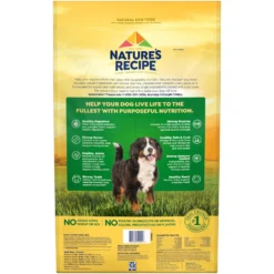 Nature's Recipe Large Breed Grain-Free Chicken, Sweet Potato & Pumpkin Recipe Dry Dog Food -Pawsphoria Sales Store 76257 PT2. AC SS1800 V1672782316