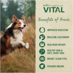 Freshpet Vital Chicken, Beef, Salmon & Egg Recipe Grain-Free Fresh Dog Food -Pawsphoria Sales Store 764046 PT5. AC SS1800 V1694010350