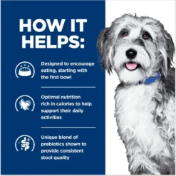 Hill's Prescription Diet ONC Care Dry Dog Food -Pawsphoria Sales Store 765326 PT3. AC SS1800 V1675112927