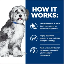 Hill's Prescription Diet ONC Care Dry Dog Food -Pawsphoria Sales Store 765326 PT4. AC SS1800 V1675112982