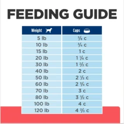 Hill's Prescription Diet ONC Care Dry Dog Food -Pawsphoria Sales Store 765326 PT6. AC SS1800 V1675112924