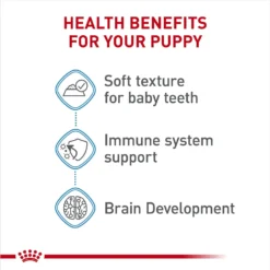 Royal Canin Size Health Nutrition Medium Puppy Thin Slices In Gravy Wet Dog Food, 13-oz, Case Of 12 -Pawsphoria Sales Store 766710 PT3. AC SS1800 V1697216176