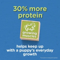 Puppy Chow Tender & Crunchy With Real Beef Dry Dog Food 11 Puppy Chow Tender & Crunchy With Real Beef Dry Dog Food -Pawsphoria Sales Store 767774 PT2. AC SS1800 V1675375952