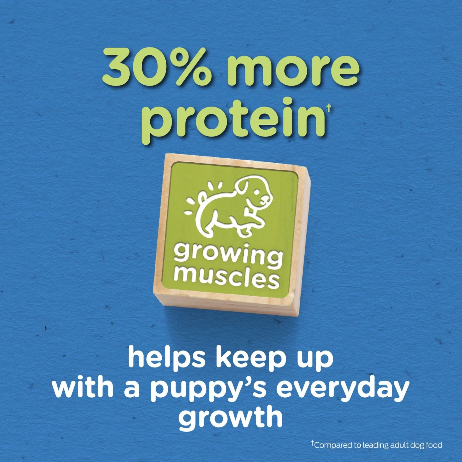 Puppy Chow Tender & Crunchy With Real Beef Dry Dog Food 3 Puppy Chow Tender & Crunchy With Real Beef Dry Dog Food - Image 3