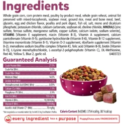 Puppy Chow Tender & Crunchy With Real Beef Dry Dog Food 14 Puppy Chow Tender & Crunchy With Real Beef Dry Dog Food -Pawsphoria Sales Store 767774 PT5. AC SS1800 V1675375897