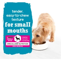 Purina Beneful IncrediBites Chicken & Bacon Flavor In A Savory Gravy Pate Small Wet Dog Food -Pawsphoria Sales Store 768510 PT3. AC SS1800 V1700159253