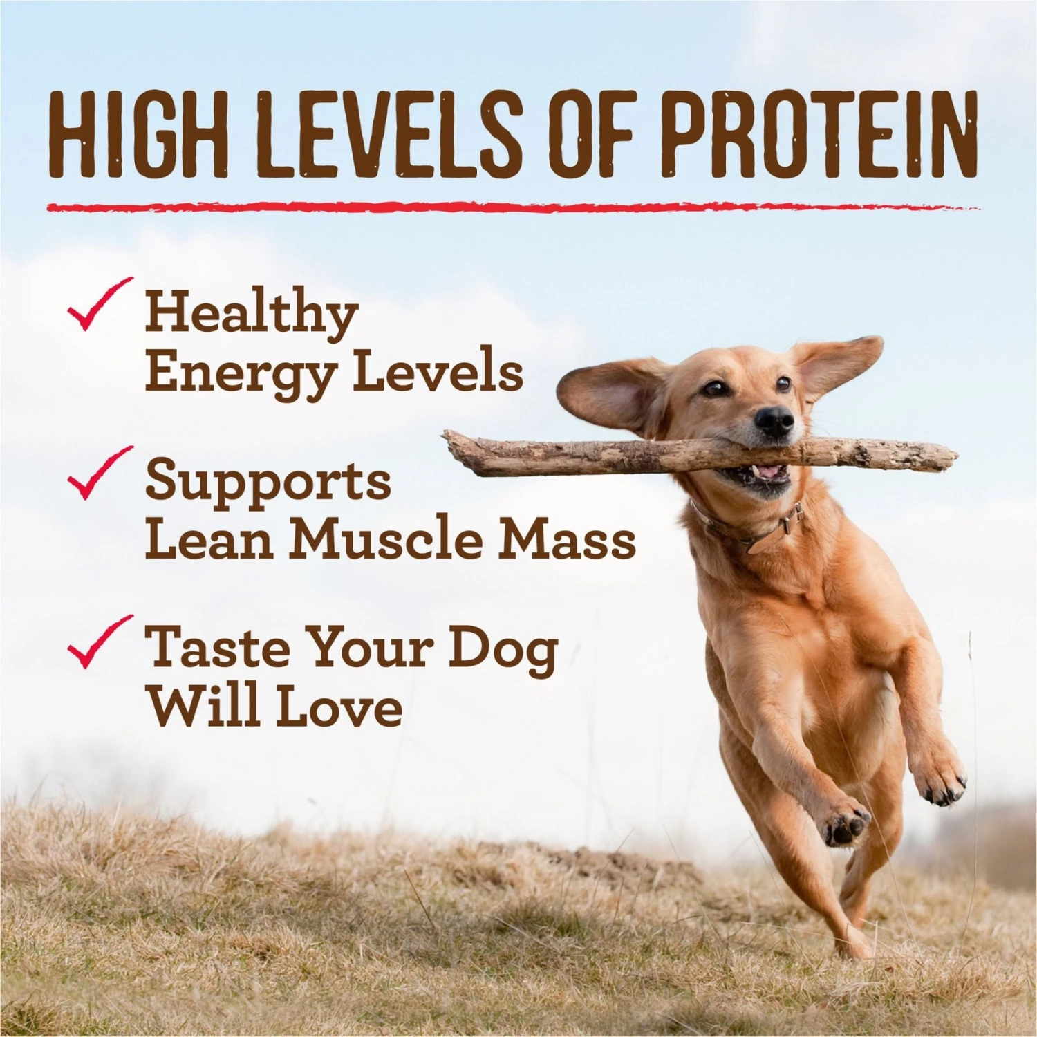 Merrick Chunky Grain-Free Wet Dog Food Pappy's Pot Roast Dinner 7 Merrick Chunky Grain-Free Wet Dog Food Pappy's Pot Roast Dinner - Image 7