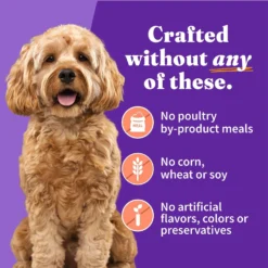 Halo Chicken & Salmon Recipe Grain-Free Small Breed Canned Dog Food -Pawsphoria Sales Store 77035 PT4. AC SS1800 V1626282098