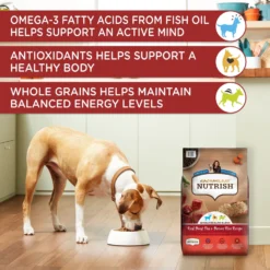 Rachael Ray Nutrish Real Beef, Pea, & Brown Rice Recipe Dry Dog Food -Pawsphoria Sales Store 770718 PT4. AC SS1800 V1675966714