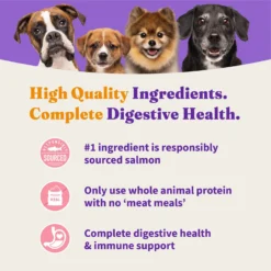 Halo Holistic Complete Digestive Health Wild-Caught Salmon & Whitefish Recipe Small Breed Dry Dog Food 10 Halo Holistic Complete Digestive Health Wild-Caught Salmon & Whitefish Recipe Small Breed Dry Dog Food -Pawsphoria Sales Store 77071 PT3. AC SS1800 V1669906619