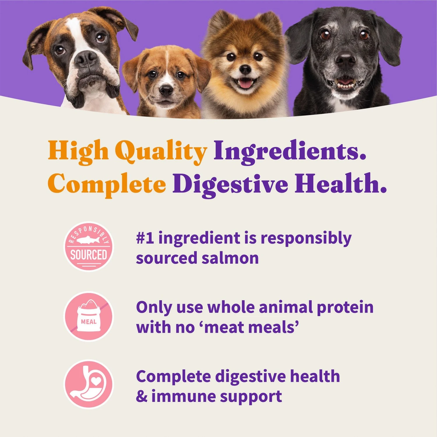 Halo Holistic Complete Digestive Health Wild-Caught Salmon & Whitefish Recipe Small Breed Dry Dog Food 3 Halo Holistic Complete Digestive Health Wild-Caught Salmon & Whitefish Recipe Small Breed Dry Dog Food - Image 3