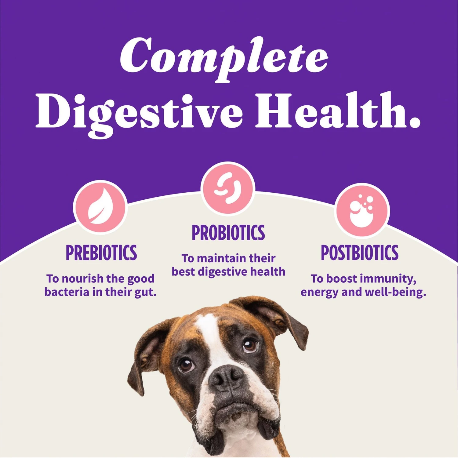 Halo Holistic Complete Digestive Health Wild-Caught Salmon & Whitefish Recipe Small Breed Dry Dog Food 5 Halo Holistic Complete Digestive Health Wild-Caught Salmon & Whitefish Recipe Small Breed Dry Dog Food - Image 5