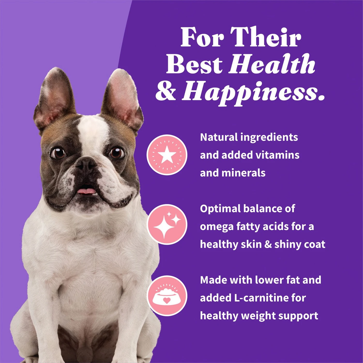 Halo Holistic Complete Digestive Health Wild-Caught Salmon & Whitefish Recipe Small Breed Dry Dog Food 6 Halo Holistic Complete Digestive Health Wild-Caught Salmon & Whitefish Recipe Small Breed Dry Dog Food - Image 6