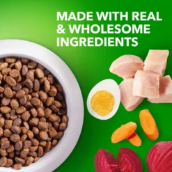 Iams Proactive Health Puppy High Protein DHA Formula With Real Chicken Dry Dog Food 12 Iams Proactive Health Puppy High Protein DHA Formula With Real Chicken Dry Dog Food -Pawsphoria Sales Store 77199 PT3. AC SS1800 V1668024638