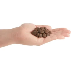 ACANA Premium Chunks Duck Recipe In Bone Broth Grain-Free Wet Dog Food, 12.8-oz Can, Case Of 12 & ACANA Singles Limited Ingredient Duck & Pear Grain-Free Dry Dog Food -Pawsphoria Sales Store 774462 PT8. AC SS1800 V1676904561