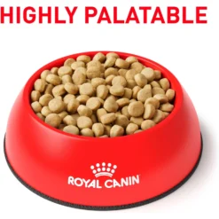 Royal Canin Veterinary Diet Adult Satiety Support Weight Management Small Breed Dry Dog Food 11 Royal Canin Veterinary Diet Adult Satiety Support Weight Management Small Breed Dry Dog Food -Pawsphoria Sales Store 77543 PT2. AC SS1800 V1661831939