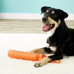 KONG Training Dummy For Dogs -Pawsphoria Sales Store 77679 PT8. AC SS1800 V1507035640