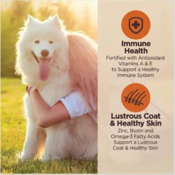 Wellness CORE Digestive Health Chicken & Brown Rice Dry Dog Food, 24-lb Bag -Pawsphoria Sales Store 778398 PT3. AC SS1800 V1676653908