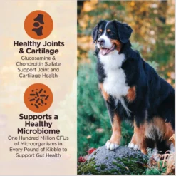 Wellness CORE Digestive Health Chicken & Brown Rice Dry Dog Food, 24-lb Bag -Pawsphoria Sales Store 778398 PT4. AC SS1800 V1676653911