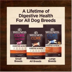 Wellness CORE Digestive Health Chicken & Brown Rice Dry Dog Food, 24-lb Bag -Pawsphoria Sales Store 778398 PT8. AC SS1800 V1676653574