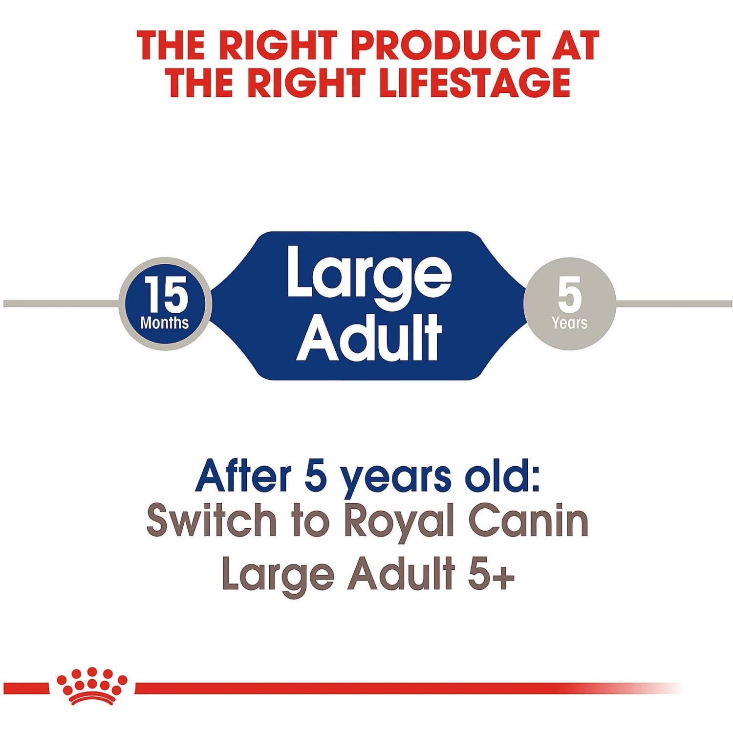 Royal Canin Size Health Nutrition Large Adult Dry Dog Food 7 Royal Canin Size Health Nutrition Large Adult Dry Dog Food - Image 7