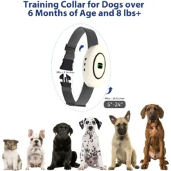 Petdiary B360 Rechargeable Static Dog Bark Collar, White, Small 13 Petdiary B360 Rechargeable Static Dog Bark Collar, White, Small -Pawsphoria Sales Store 778806 PT5. AC SS1800 V1680645061