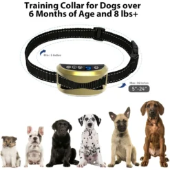Petdiary 165-G Static Rechargeable Dog Bark Control Collar, Gold, Small -Pawsphoria Sales Store 778838 PT5. AC SS1800 V1680645061