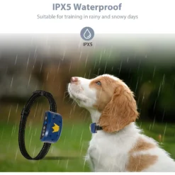 Petdiary B320 Rechargeable Static Dog Bark Collar, Blue, Small -Pawsphoria Sales Store 778854 PT3. AC SS1800 V1680644998