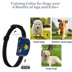 Petdiary B320 Rechargeable Static Dog Bark Collar, Blue, Small -Pawsphoria Sales Store 778854 PT5. AC SS1800 V1680645061