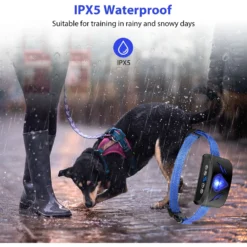 Petdiary B330 Static Rechargeable Dog Bark Collar, Black, Small -Pawsphoria Sales Store 778870 PT3. AC SS1800 V1680705713