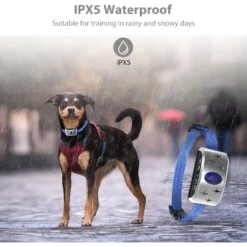 Petdiary B340 Rechargeable Dog Bark Collar, Small -Pawsphoria Sales Store 778894 PT3. AC SS1800 V1680644637