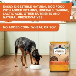 Rachael Ray Nutrish Limited Ingredient Lamb Meal & Brown Rice Recipe Dry Dog Food -Pawsphoria Sales Store 77994 PT4. AC SS1800 V1692806348