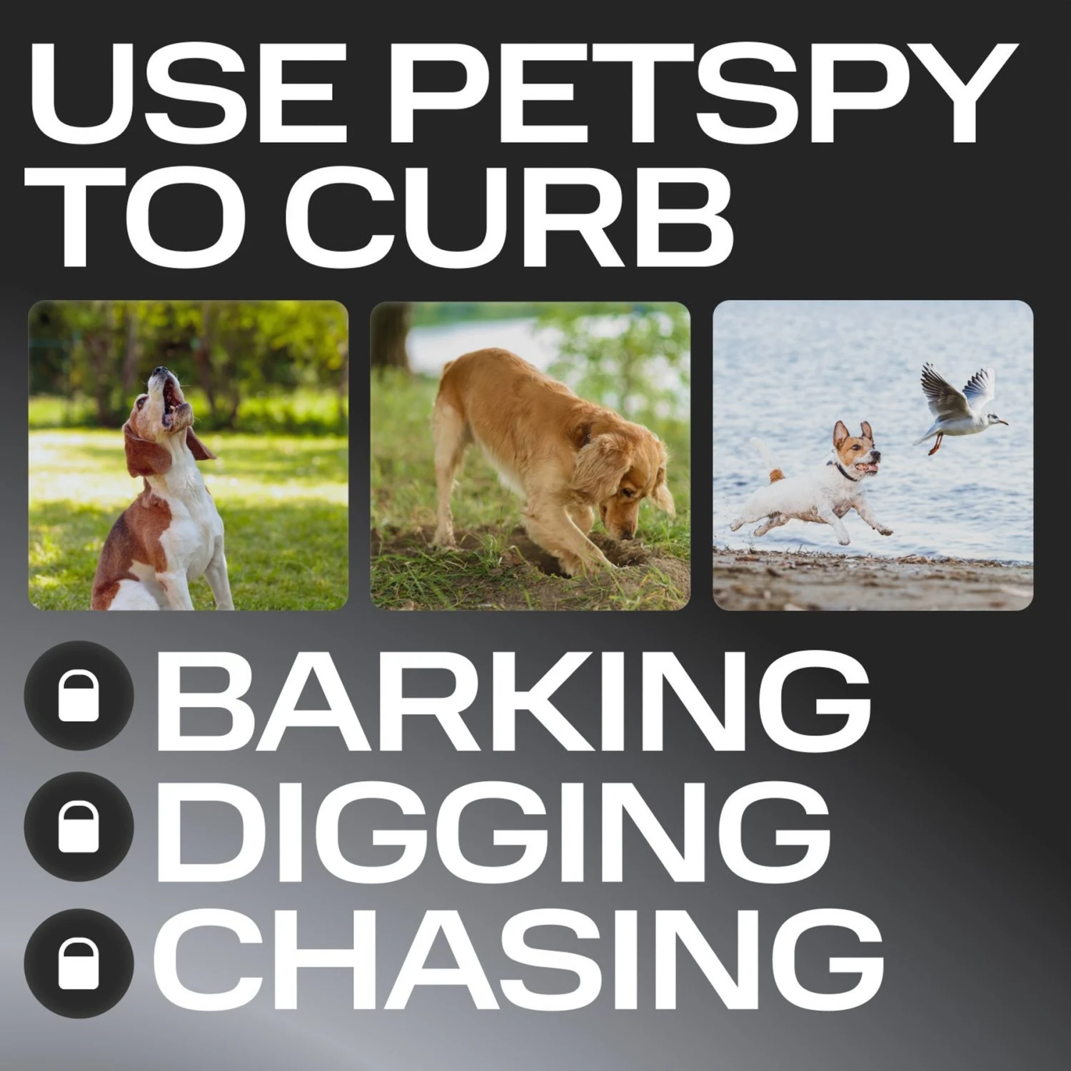 PetSpy N10 Ultrasonic Dog Barking Deterrent, Black 4 PetSpy N10 Ultrasonic Dog Barking Deterrent, Black - Image 4