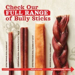 Natural Farm Odor-Free Bully Sticks Dog Treats, 6-in -Pawsphoria Sales Store 784558 PT4. AC SS1800 V1682018121