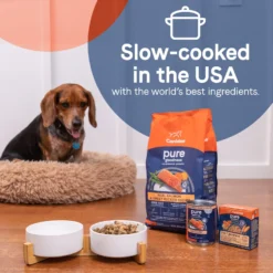 CANIDAE PURE Real Salmon & Rice Bone Broth Wet Dog Food Topper, 5.5-oz Box, Case Of 6 -Pawsphoria Sales Store 787158 PT4. AC SS1800 V1678713148