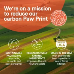 CANIDAE PURE Real Salmon & Rice Bone Broth Wet Dog Food Topper, 5.5-oz Box, Case Of 6 -Pawsphoria Sales Store 787158 PT7. AC SS1800 V1678722310