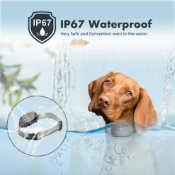 GroovyPets Rechargeable Waterproof Bark Control Training Dog Collar, Black, One Size -Pawsphoria Sales Store 789310 PT4. AC SS1800 V1686592037