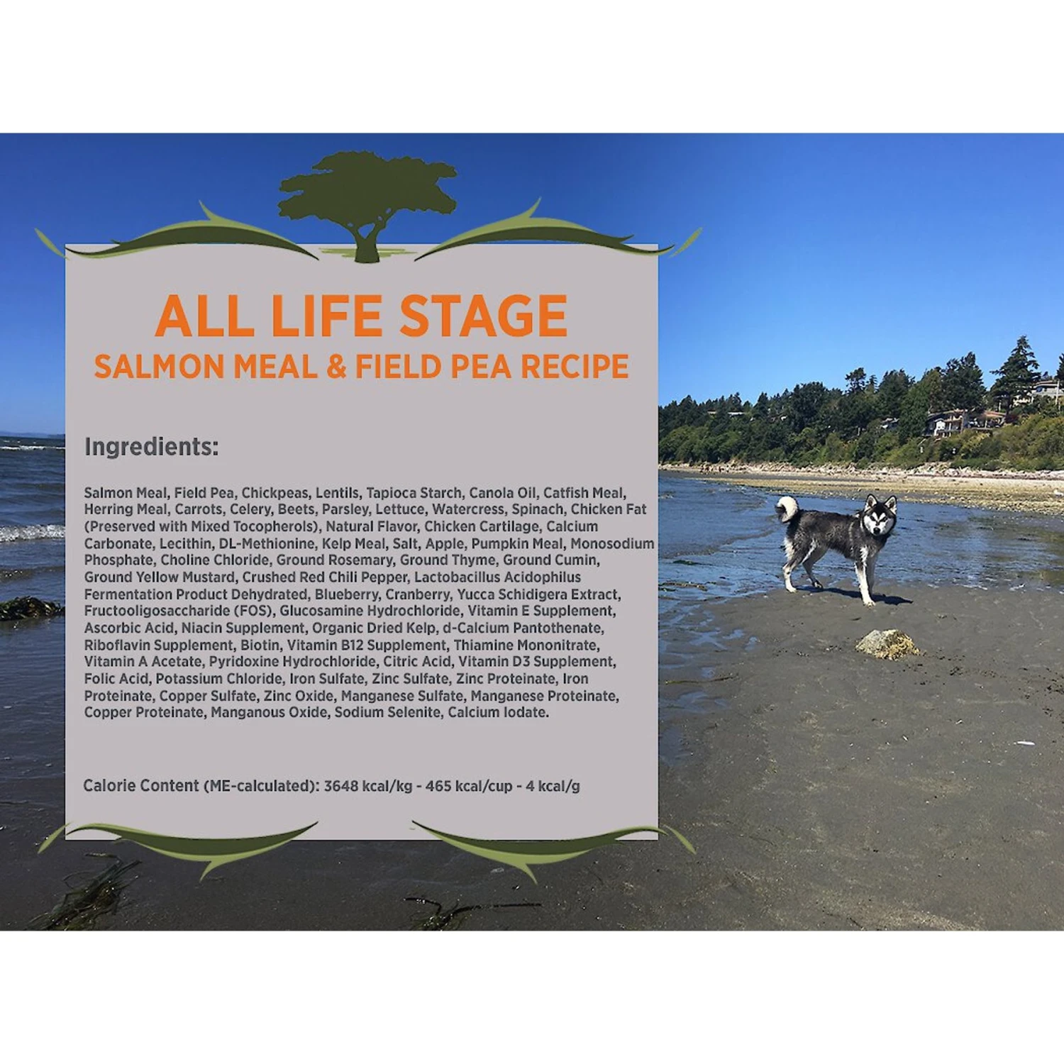 Blackwood Salmon Meal & Field Pea Recipe Grain-Free Dry Dog Food 3 Blackwood Salmon Meal & Field Pea Recipe Grain-Free Dry Dog Food - Image 3